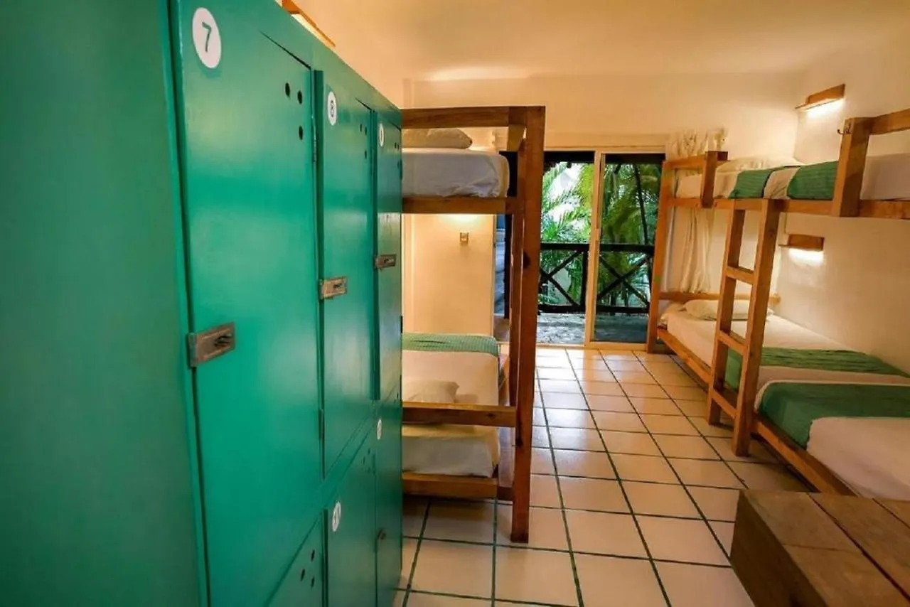 Auberge de jeunesse Hostal Mx 5Th Avenue Playa del Carmen