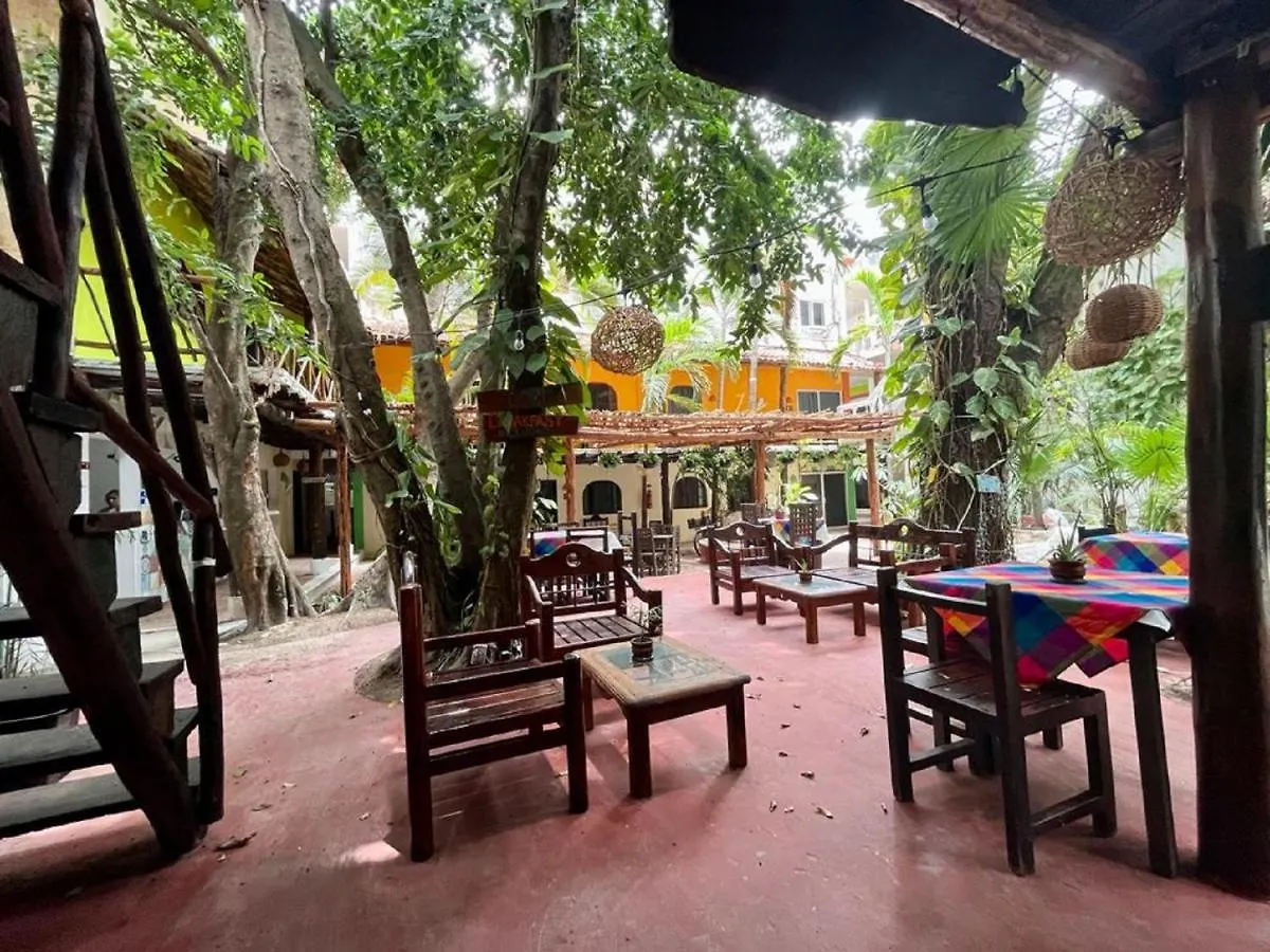 Hostal Mx 5Th Avenue Playa del Carmen