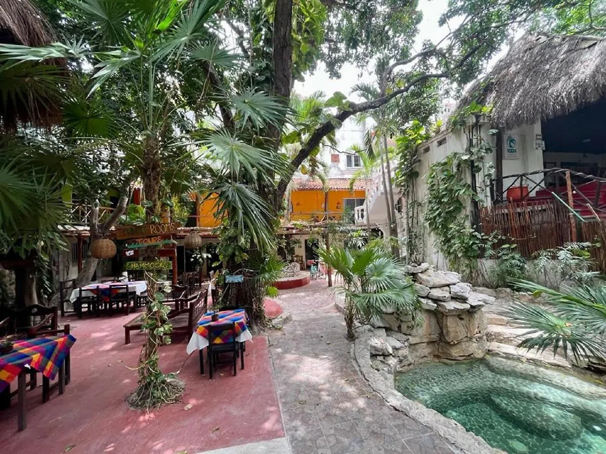Auberge de jeunesse Hostal Mx 5Th Avenue Playa del Carmen