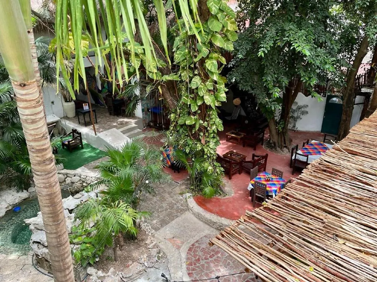 Hostal Mx 5Th Avenue Playa del Carmen 0*,