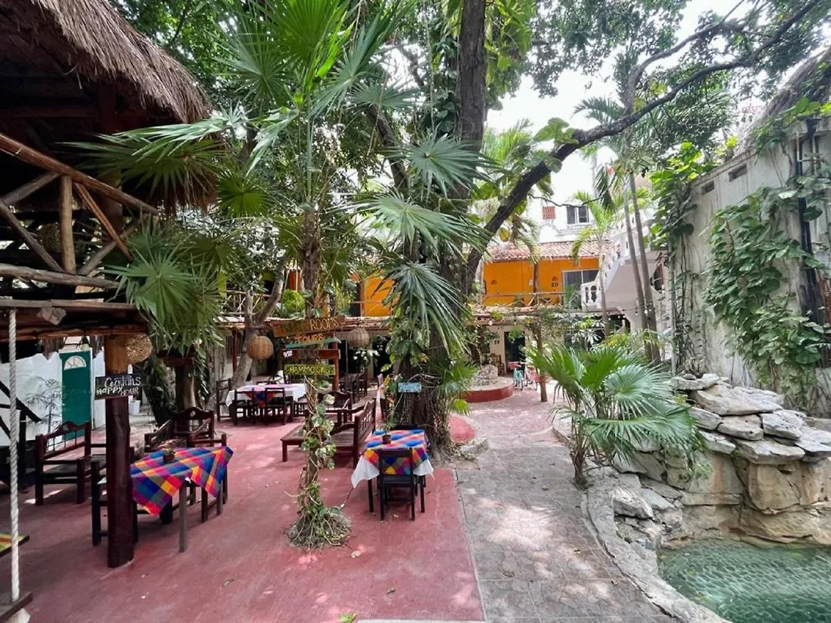 Hostal Mx 5Th Avenue Playa del Carmen Auberge de jeunesse