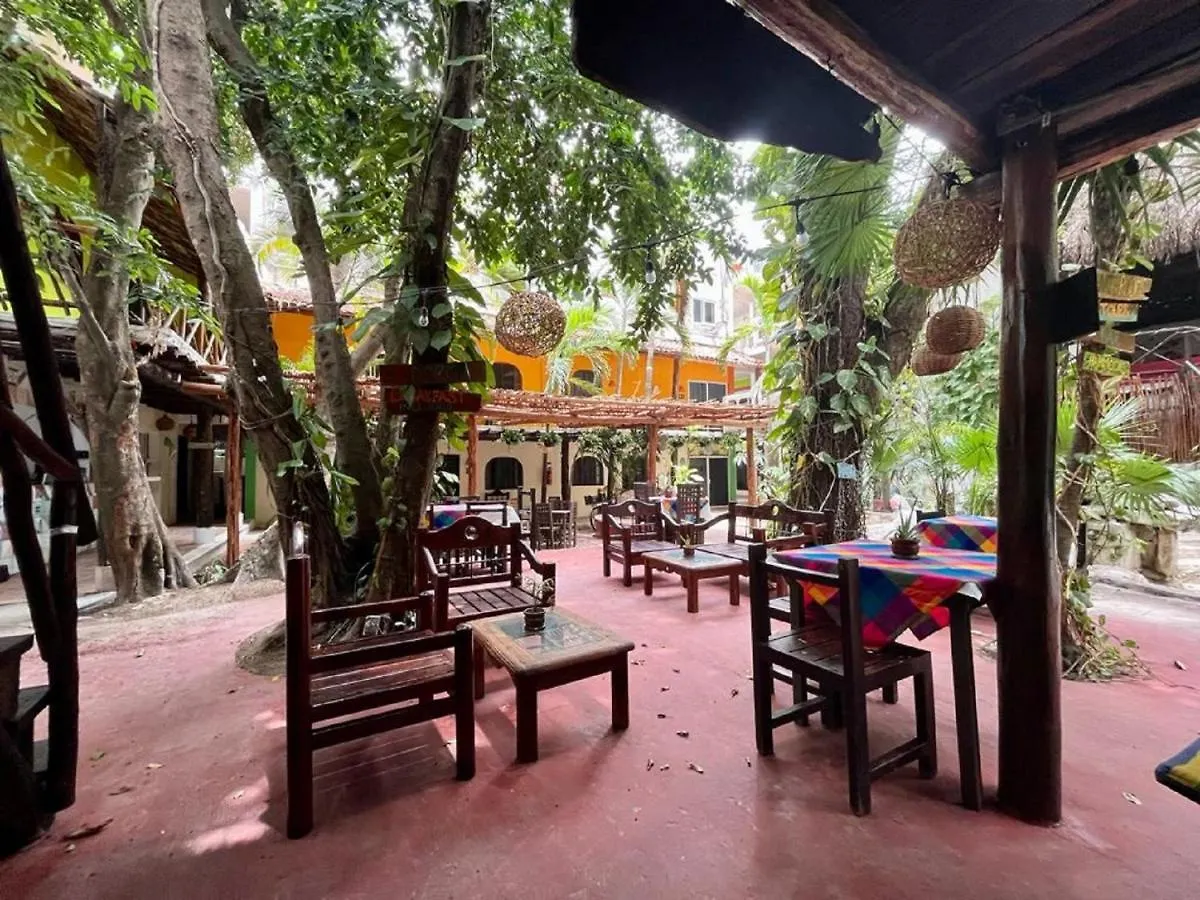Hostal Mx 5Th Avenue Playa del Carmen