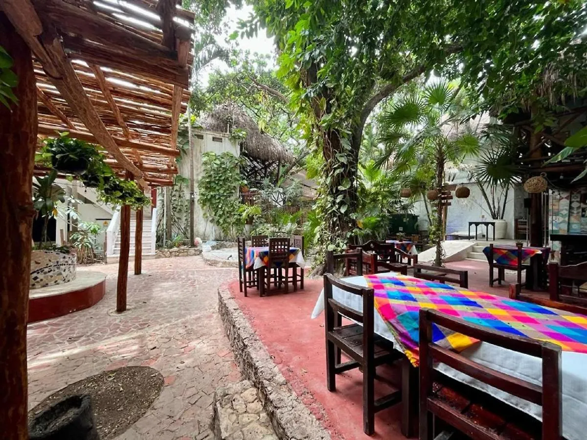 Hostal Mx 5Th Avenue Playa del Carmen 0*,  Mexique