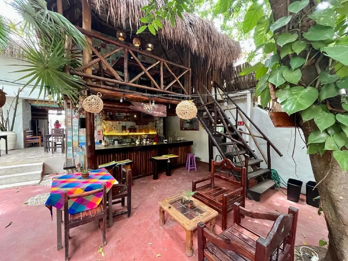 Auberge de jeunesse Hostal Mx 5Th Avenue Playa del Carmen Mexique