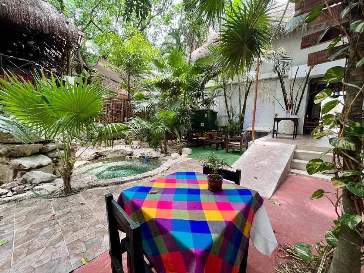 Hostal Mx 5Th Avenue Playa del Carmen