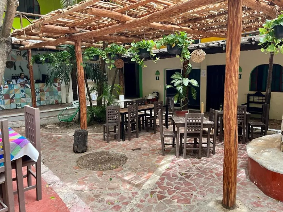 Hostal Mx 5Th Avenue Playa del Carmen 0*,