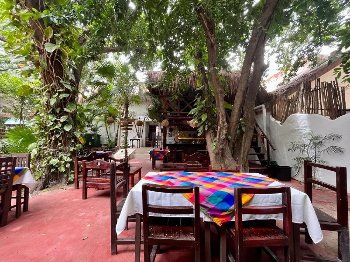 Hostal Mx 5Th Avenue Playa del Carmen