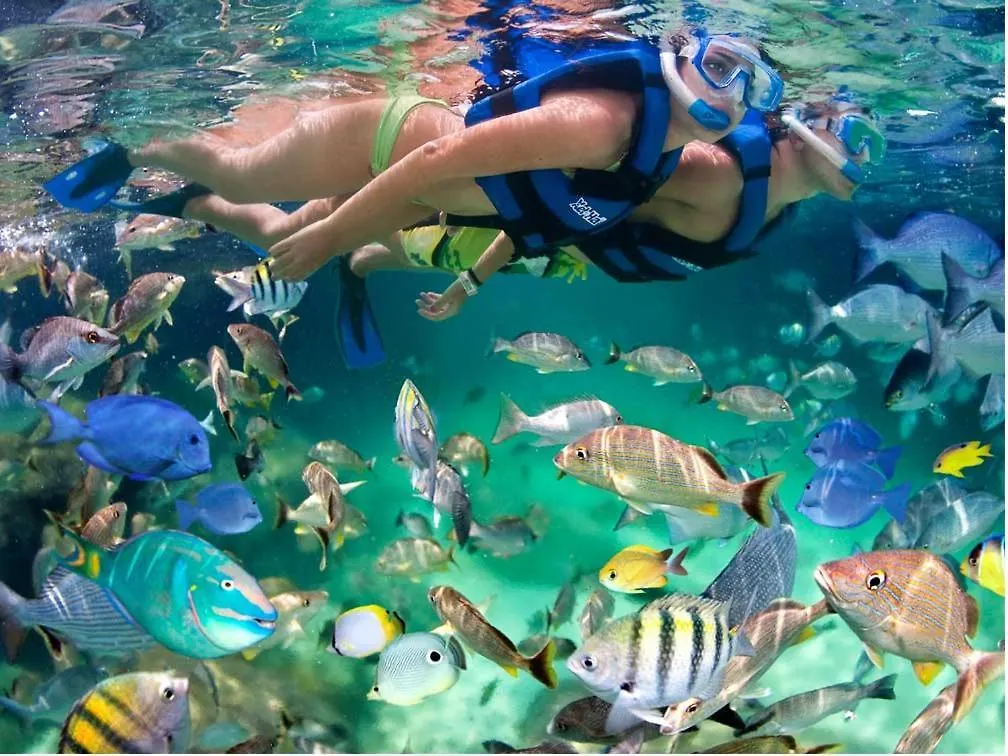 Hostal Mx 5Th Avenue Playa del Carmen 0*,