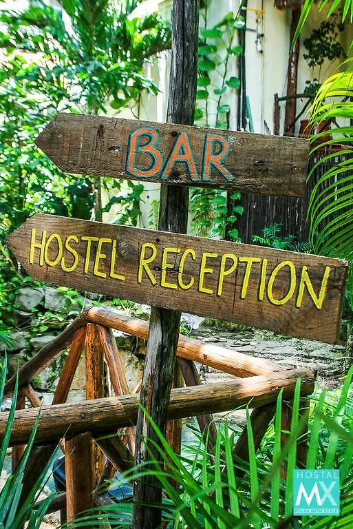 Hostal Mx 5Th Avenue Playa del Carmen Auberge de jeunesse