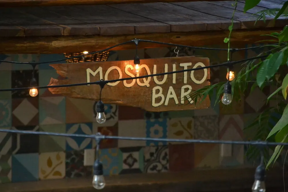 Hostal Mx 5Th Avenue Playa del Carmen 0*,  Mexique