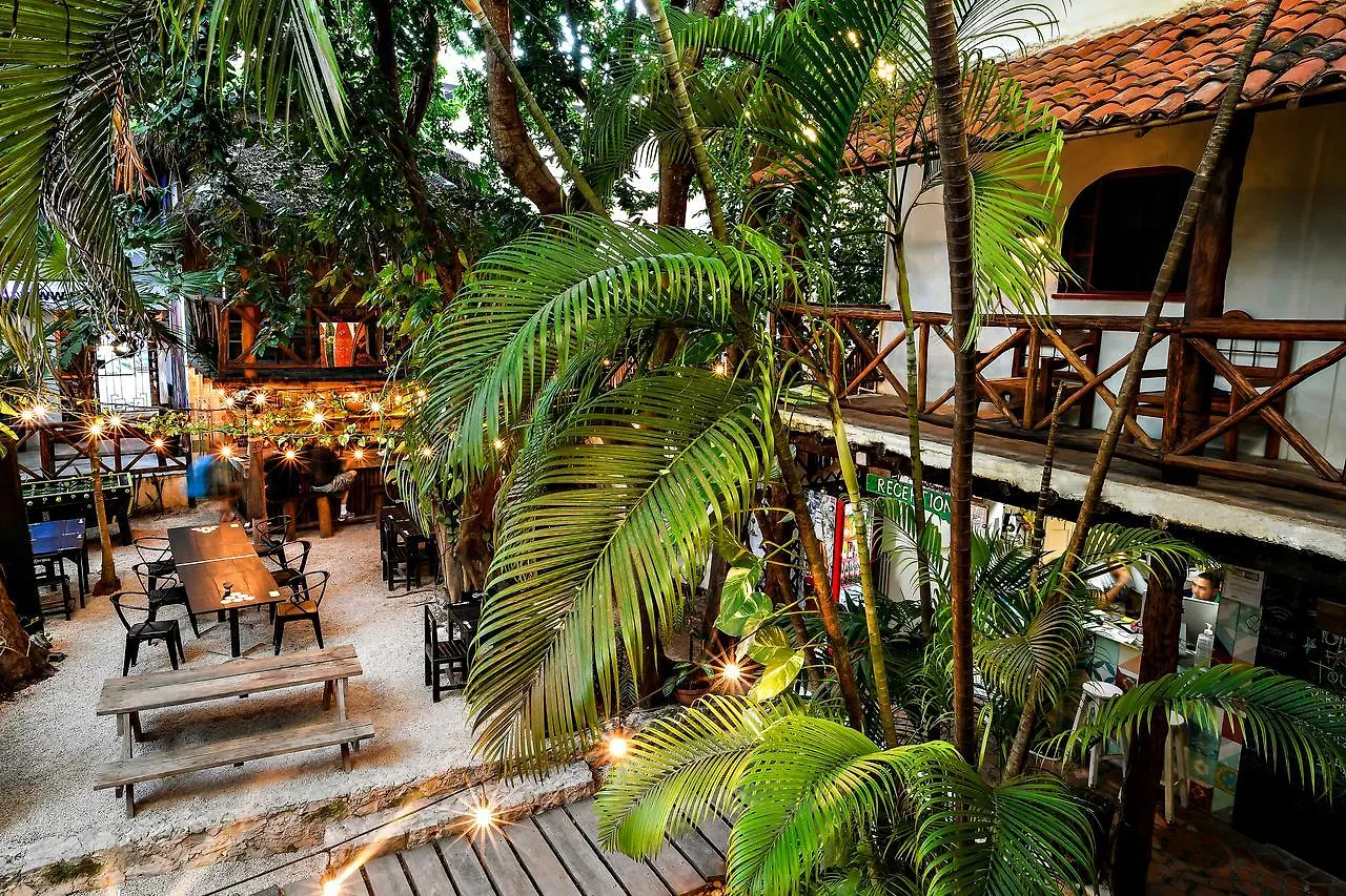 Hostal Mx 5Th Avenue Playa del Carmen Auberge de jeunesse