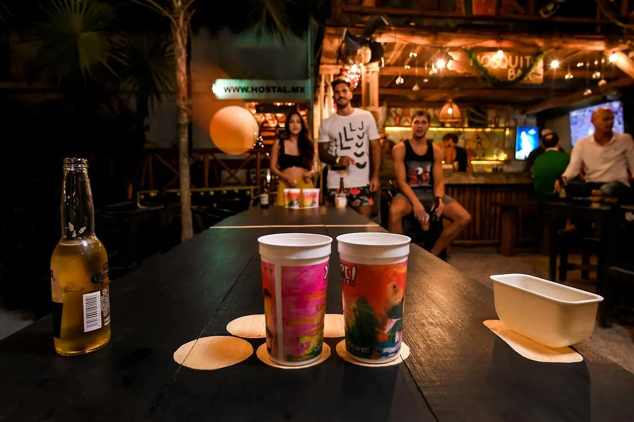 Hostal Mx 5Th Avenue Playa del Carmen 0*,