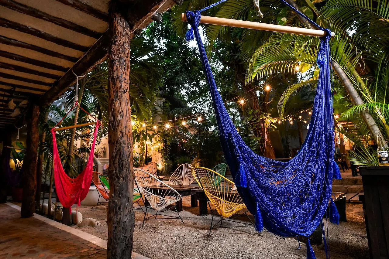 Auberge de jeunesse Hostal Mx 5Th Avenue Playa del Carmen