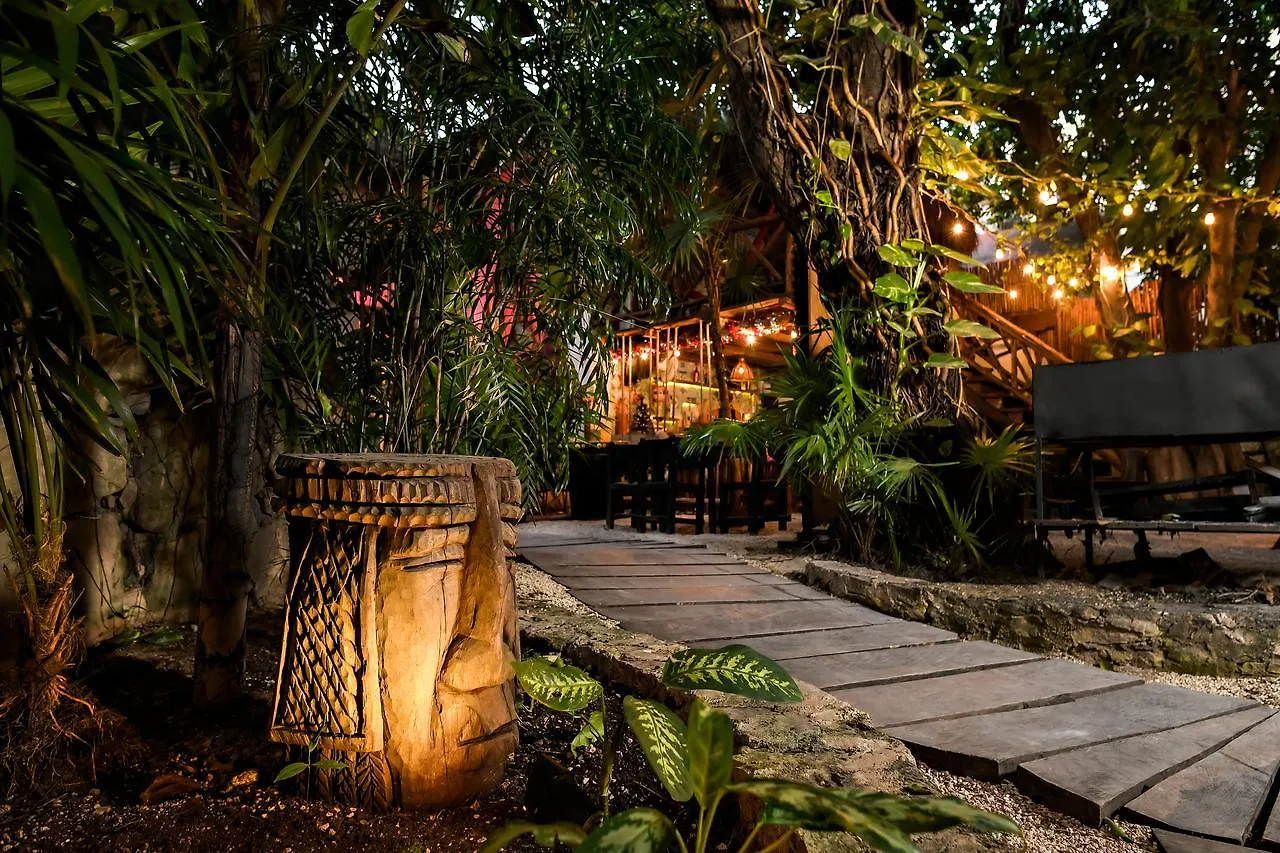 Hostal Mx 5Th Avenue Playa del Carmen 0*,